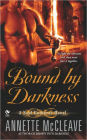 Bound By Darkness: A Soul Gatherer Novel