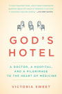 God's Hotel: A Doctor, a Hospital, and a Pilgrimage to the Heart of Medicine