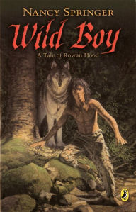 Title: Wild Boy: A Tale of Rowan Hood, Author: Nancy Springer