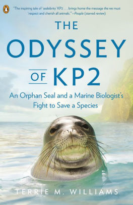 The Odyssey Of Kp2 An Orphan Seal And A Marine Biologist