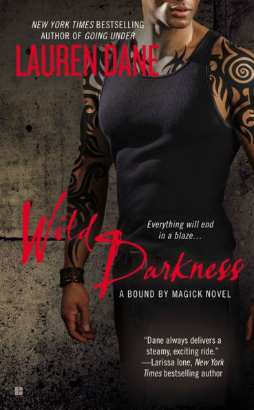 Wild Darkness (Bound by Magick Series #4)