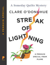 Title: Streak of Lightning (Someday Quilts Series) (A Penguin Special from Plume), Author: Clare O'Donohue