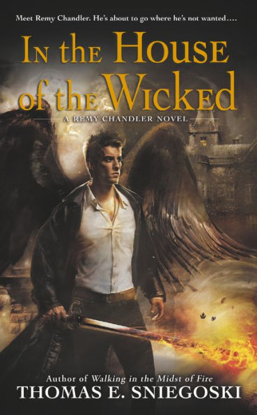 In the House of the Wicked (Remy Chandler Series #5)