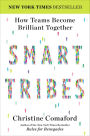 SmartTribes: How Teams Become Brilliant Together