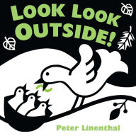Title: Look Look Outside, Author: Peter Linenthal