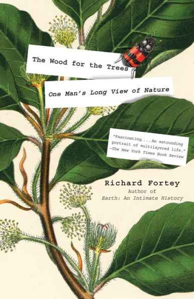 the Wood for Trees: One Man's Long View of Nature