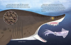 Alternative view 3 of My Little Golden Book About Sharks