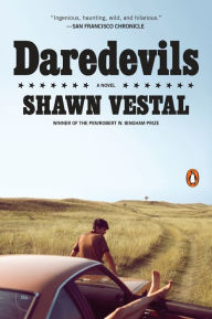 Title: Daredevils: A Novel, Author: Shawn Vestal