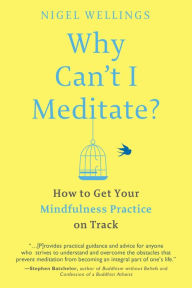 Title: Why Can't I Meditate?: How to Get Your Mindfulness Practice on Track, Author: Nigel Wellings