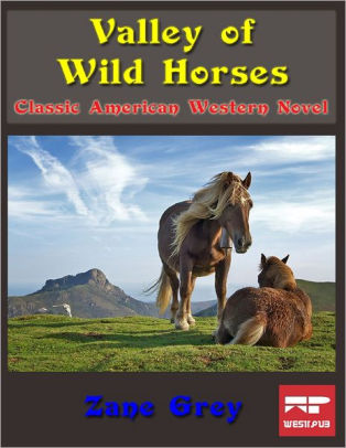 Valley Of Wild Horses Classic American Western Novel By