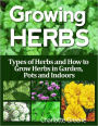 Growing Herbs: Types of Herbs and How to Grow Herbs in Garden, Pots and Indoors