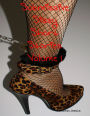 Submissive Sissy Short Stories Volume 1