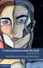 Consciousness and the Self: New Essays