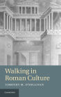 Alternative view 2 of Walking in Roman Culture