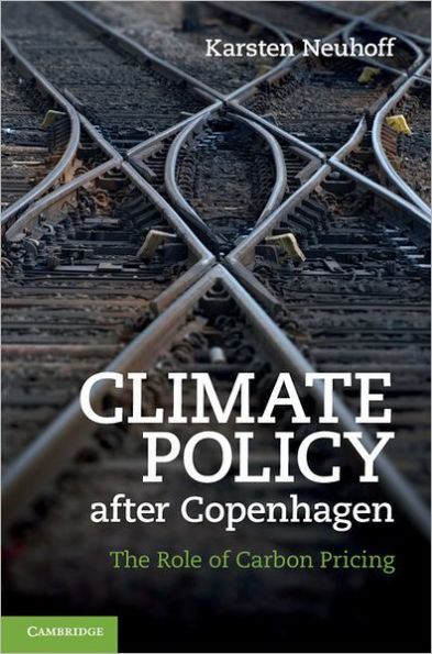 Climate Policy after Copenhagen: The Role of Carbon Pricing