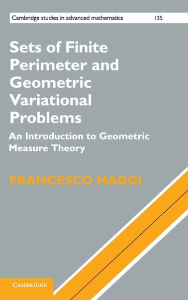Sets of Finite Perimeter and Geometric Variational Problems: An Introduction to Measure Theory