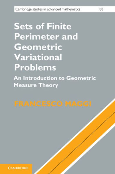 Sets of Finite Perimeter and Geometric Variational Problems: An Introduction to Measure Theory