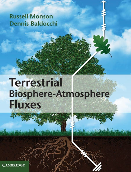 Terrestrial Biosphere-Atmosphere Fluxes