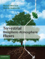 Terrestrial Biosphere-Atmosphere Fluxes