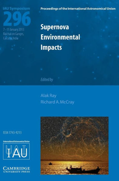 Supernova Environmental Impacts (IAU S296)