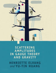 Title: Scattering Amplitudes in Gauge Theory and Gravity, Author: Henriette Elvang