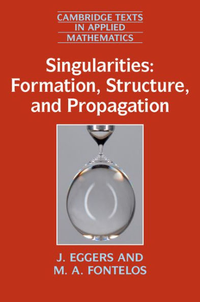 Singularities: Formation, Structure, and Propagation