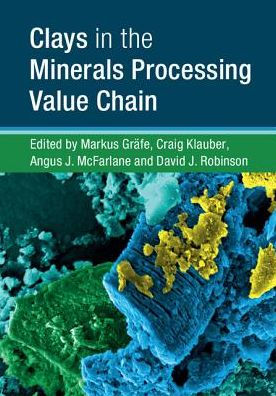 Clays in the Minerals Processing Value Chain