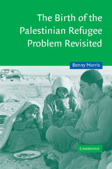 The Birth of the Palestinian Refugee Problem Revisited