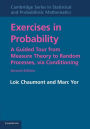 Exercises in Probability: A Guided Tour from Measure Theory to Random Processes, via Conditioning / Edition 2