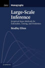 Large-Scale Inference: Empirical Bayes Methods for Estimation, Testing, and Prediction