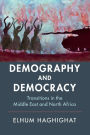 Demography and Democracy: Transitions in the Middle East and North Africa