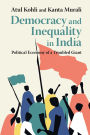 Democracy and Inequality in India: Political Economy of a Troubled Giant