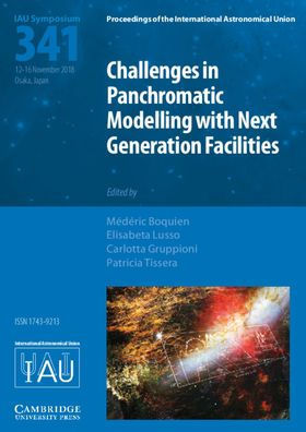 Challenges in Panchromatic Modelling with Next Generation Facilities (IAU S341)