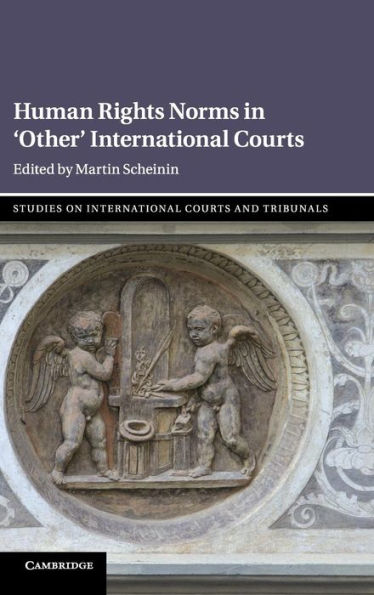 Human Rights Norms in 'Other' International Courts