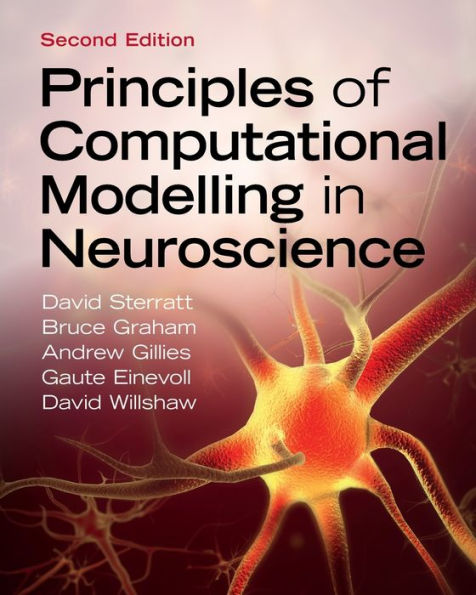 Principles of Computational Modelling Neuroscience