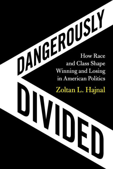 Dangerously Divided: How Race and Class Shape Winning and Losing in American Politics