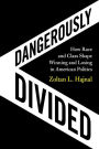 Dangerously Divided: How Race and Class Shape Winning and Losing in American Politics