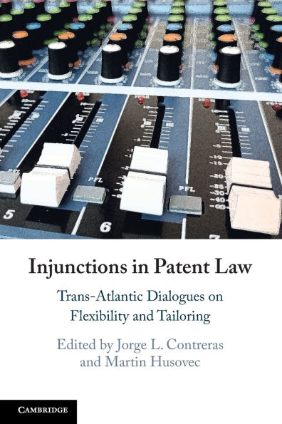 Injunctions Patent Law: Trans-Atlantic Dialogues on Flexibility and Tailoring
