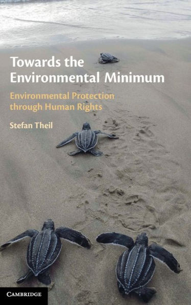 Towards the Environmental Minimum: Protection through Human Rights