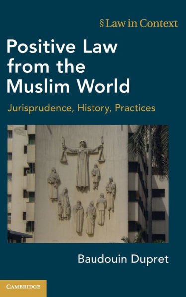 Positive Law from the Muslim World: Jurisprudence, History, Practices