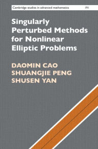 Title: Singularly Perturbed Methods for Nonlinear Elliptic Problems, Author: Daomin Cao