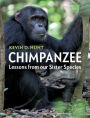 Chimpanzee: Lessons from our Sister Species