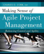 Making Sense of Agile Project Management: Balancing Control and Agility