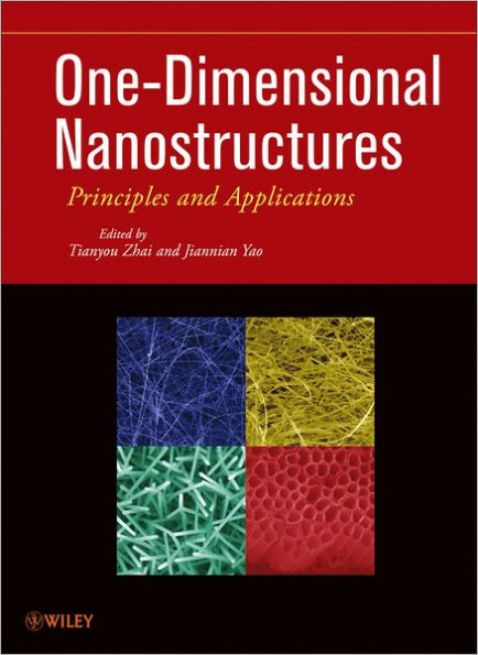 One-Dimensional Nanostructures: Principles and Applications / Edition 1