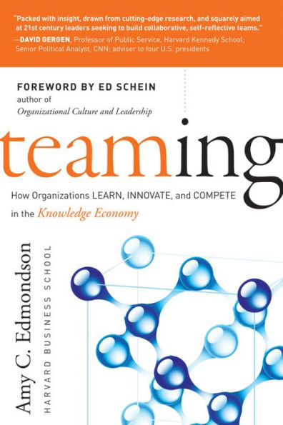 Teaming: How Organizations Learn, Innovate, and Compete in the Knowledge Economy