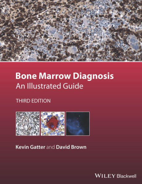 Bone Marrow Diagnosis: An Illustrated Guide / Edition 3