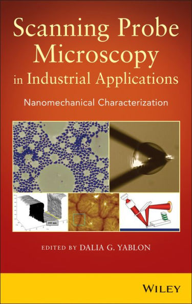 Scanning Probe Microscopy in Industrial Applications: Nanomechanical Characterization / Edition 1