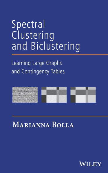 Spectral Clustering and Biclustering: Learning Large Graphs and Contingency Tables / Edition 1