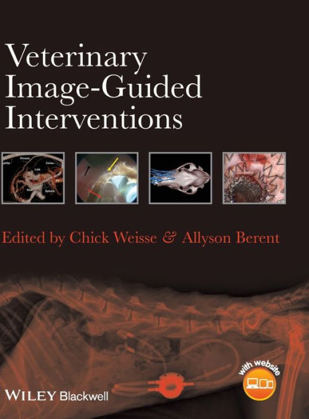 Veterinary Image-Guided Interventions / Edition 1