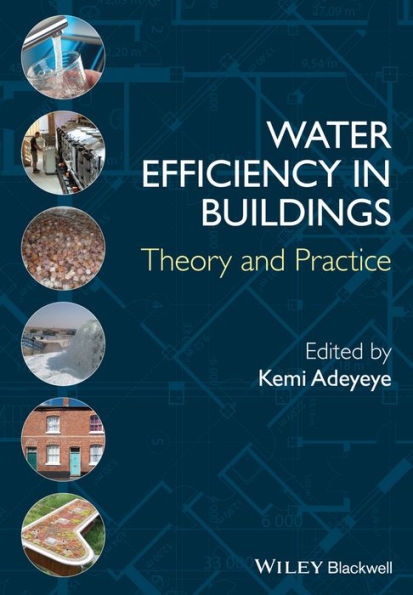 Water Efficiency in Buildings: Theory and Practice / Edition 1